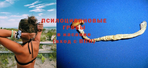 бошки Алексин