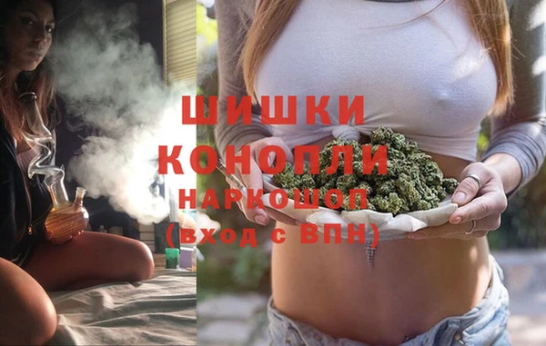 бошки Алексин
